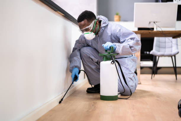 Best Pest Prevention Services  in Ingram, PA